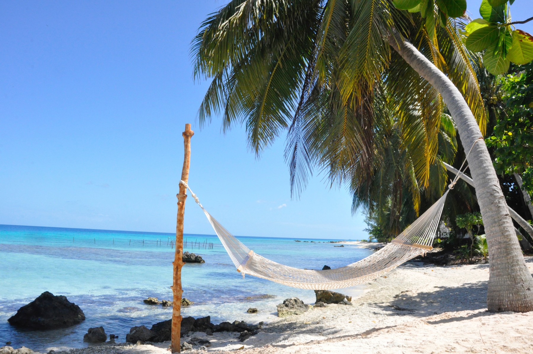 Pension Le Coconut Lodge